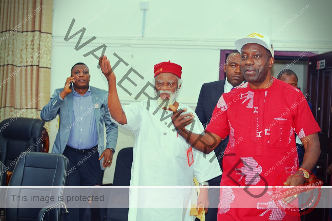 IGBO-UKWU-STAKEHOLDERS-PAY-COURTESY-VISIT-TO-ANAMBRA-STATE-GOVERNOR-6