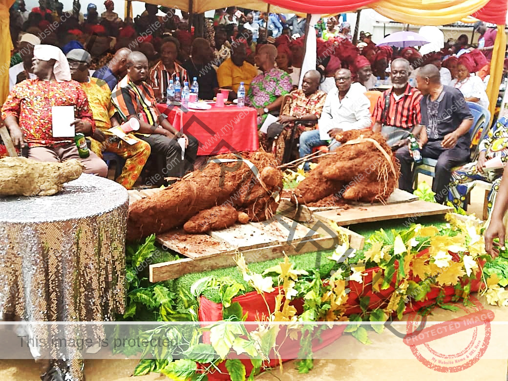 Igbo Ukwu New Yam Festival_3