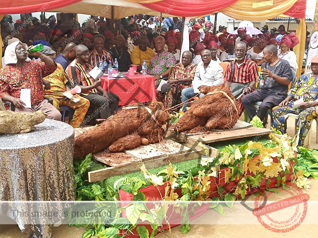 Igbo Ukwu New Yam Festival_5