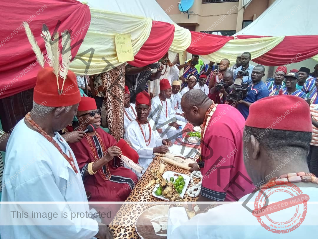 Oji-Palace-Igboukwu-installation-of-Odu111-chief-sir-Namdi-Ifeakor-2